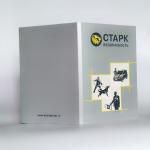 Paper Card Type Promotional Video Brochure 1024x600 Pixel With Hi Fi Speaker
