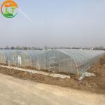 Film Covered Galvanized Greenhouse for Stable Structure and Vegetable Cultivatio