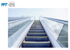 Quality Glass / Stainless Steel Balustrade Outdoor Escalator With Comb Plate Safety Devices wholesale