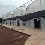 Agricultural Commercial Industrial Plastic Multi Span Greenhouse For Tomato