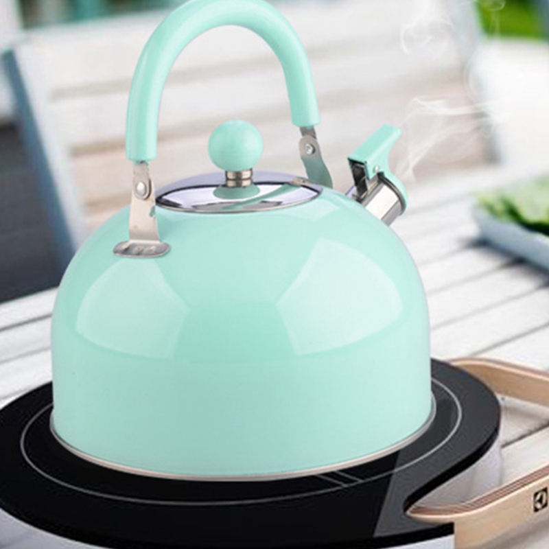 Household stainless steel electric OEM tea pot hot water whistling kettle