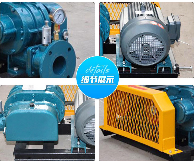 ABB Motor Type Three Leaf Roots Blower for Fish Ponds Supply 0.75-400kw High Standar
