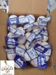 Garlic to Senegal with 10kg carton box.Normal white garlic export.