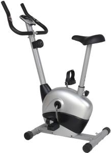 Quality Magnetic Bike wholesale