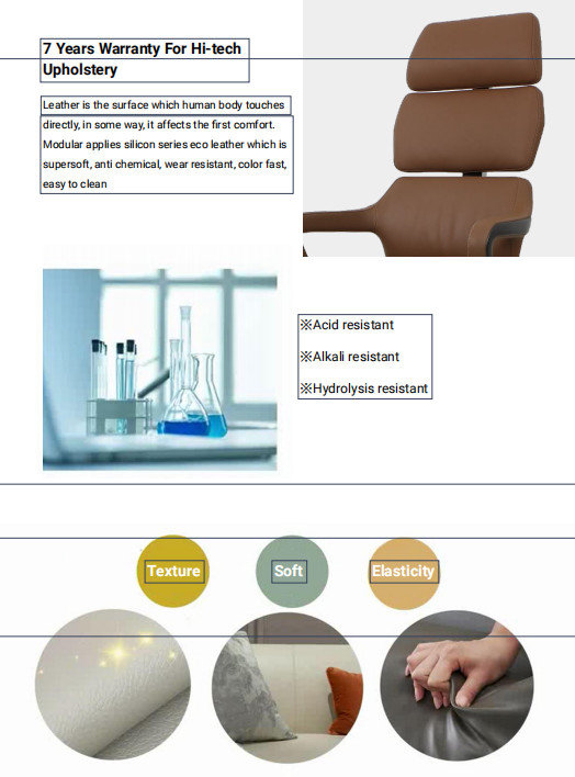 Gaslift Low Back Executive Swivel Desk Chair Fixed Armrest
