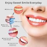 ABS Battery Operated Water Flosser , Commercial Personal Care Oral Irrigator