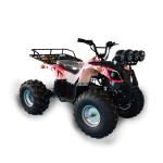 Steel Material Riding Beach Vehicle For Public Games Center Charging Time 4-6h