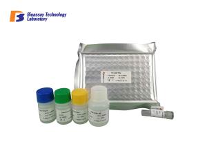 Quality 96 Wells 48 Wells Human CRH ELISA Kit Strong Sensitivity wholesale