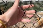 30mm*30mm Wire Rope Mesh Anti Rust Ferruled Stainless Steel Wire Rope Netting