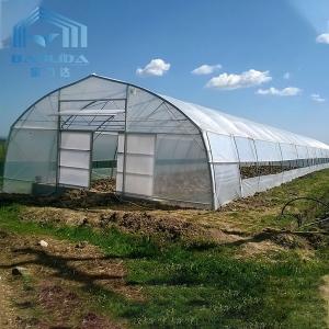 Quality Roof Ventilation Tunnel Plastic Greenhouse With Cooling System wholesale