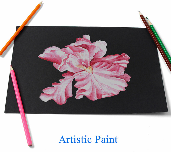 Laser Printing Uncoated Black Cardstock Paperboard In A3 A4