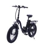 Foldable 20 Inch Pedal Assist Electric Bike 500W Aluminum Alloy Frame