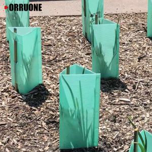 Quality PP Material Corrugated Plastic Tree Guard Reusable Protects Against Animals wholesale