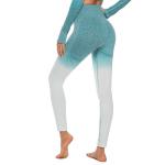 Women's hip speed-drying fitness pants running yoga pants stretch hip-lifting