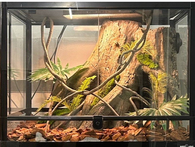 Natural Texture Reptile Cage Background Flameproof Customizable For Snack