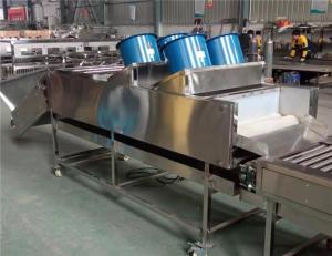 Quality apple orange lemon cleaning drying machine, potato washing drying machine wholesale