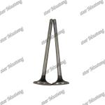 C13 Engine Spare Valve Part 252-7802 224-3030 For Carter