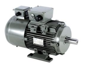 Quality Aluminum Asynchronous Inverter Motors 3 Phase wholesale
