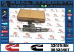 Fuel Injector 4307516N 3411767T 3407776 3087807 341176