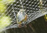 SS316 Zoo 50mm Hole Bird Aviary Mesh For Parrots