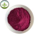 Antioxidants Food Grade Bilberry Fruit Powder With Best Price