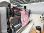 Colors Corrugated Pizza Box Flexo Printing Machine For Corrugated