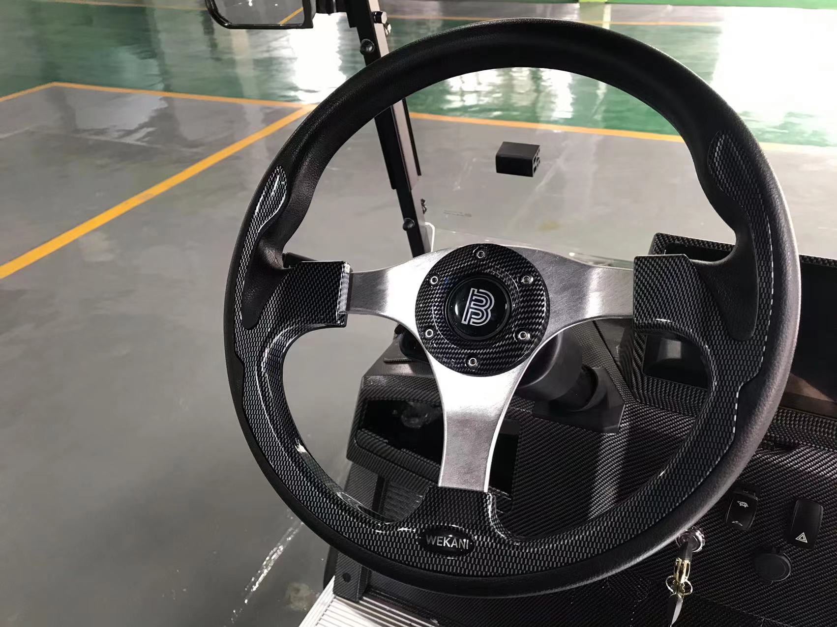 Customizable 6-Seater Off Road Golf Cart with Electric Power and Cargo Box Standing Postion of Tail Caddie Unequipped