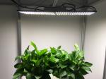 660nm 240W Full Spectrum LED Grow Lights for Vegetable