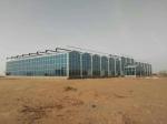 Agricultural / Industrial Garden Greenhouse For Vegetables / Mushrooms / Flowers