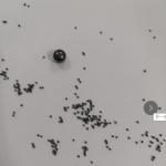 YG6X 3mm Carbide Ball Bearings For Machining Cold