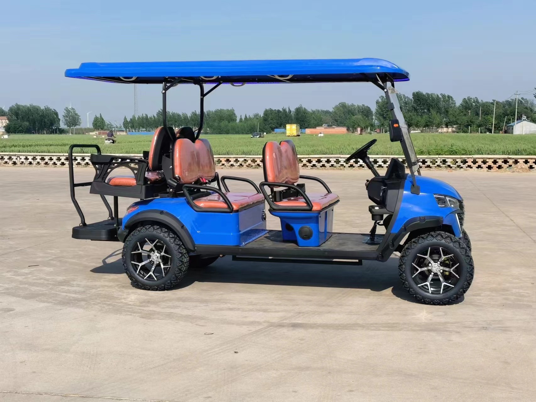 Personal Customized 6 Seater Golf Cart CE Certificates 4 Wheel Battery Powered Electric Golf Buggy