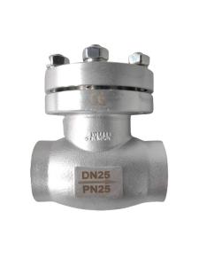 Quality Stainless Steel DN25 PN25 Cryogenic Check Valve Disc Shaped OEM For LNG wholesale