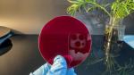 Ti3+ Red Sapphire Cr3+ Laser Sapphire Pigeon Blood Ruby Rod
