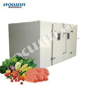 Quality 10-15cm Panel Thickness Walk-In Cooled Storage Blast Freezer Unit Discount wholesale
