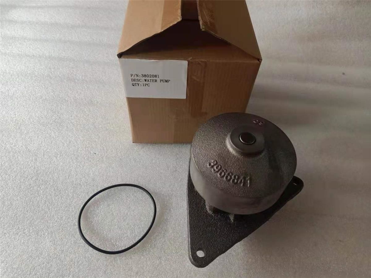 6CT Diesel Engine Spare Parts for Cummins Water Pump 3802081