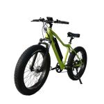 Multifunctional 48V 13Ah 500W Electric Fat Bike 750W Optional Beach Ebike Wide