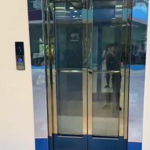 Quality Stainless Steel Traction Compact Residential Elevators 0.6 M/S Speed wholesale