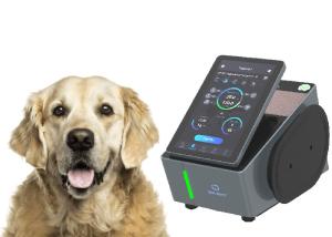 Quality 650nm Veterinary Laser Therapy Equipment wholesale