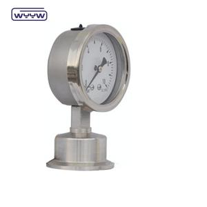 Quality WYYW Diaphragm Pressure Gauge 100mm Heavy Duty Pressure Gauge wholesale