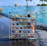 36 Grids Storage Acrylic Display Case For Collectibles Jelwelry Craft Organizer