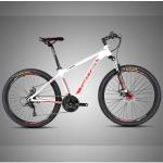 Lightweight Carbon Fiber Road Bike Road Racing Bicycle 24 Speed Gears CE