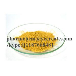 Quality Low Price Goji Berry Plant CAS 11-40-5 Wolfberry Extract For Health wholesale