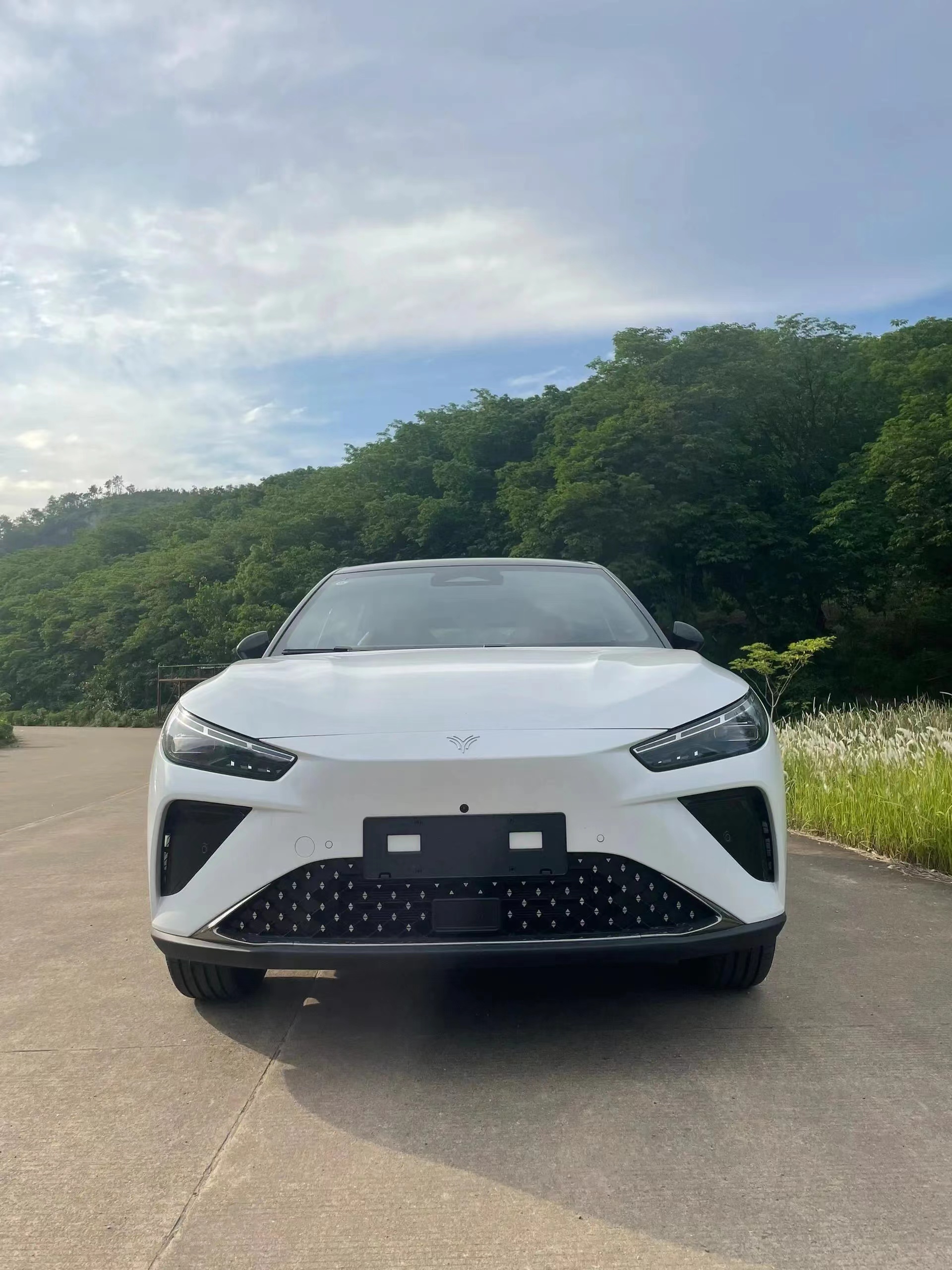 2024 Neta L High Speed Hybrid SUV Extended Range Electric Car 1300km Energy Type Red Cloth Luxury Energy Vehicles EV Car