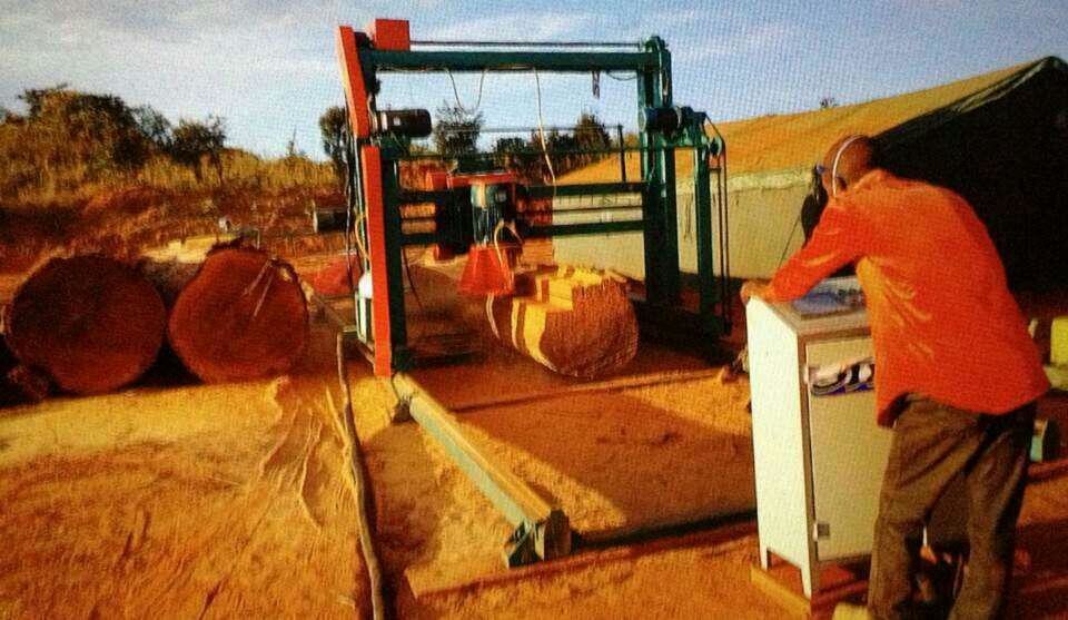 Wood Working Circular Sawmill Twin Blade Angle Sawmill For Timber