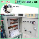 1 ton to 5 ton Direct Cooling Ice Block Machine Africa Market Popular Hot Sale