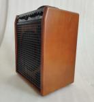 8" Dual Twin Channels AERs Style Acoustic Guitar Amplifier 60W
