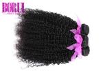 Natural Color Malaysian Human Hair Wig Unprocessed Kinky Curly Cuticle Aligned