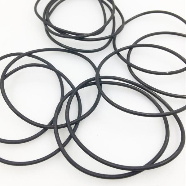 Extra Large Size O-Ring Seals for Oil Resistant Sealing in High Temperature