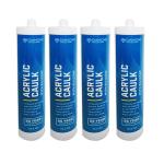 Construction Grade Siliconized Acrylic Sealant White 9009-54-5