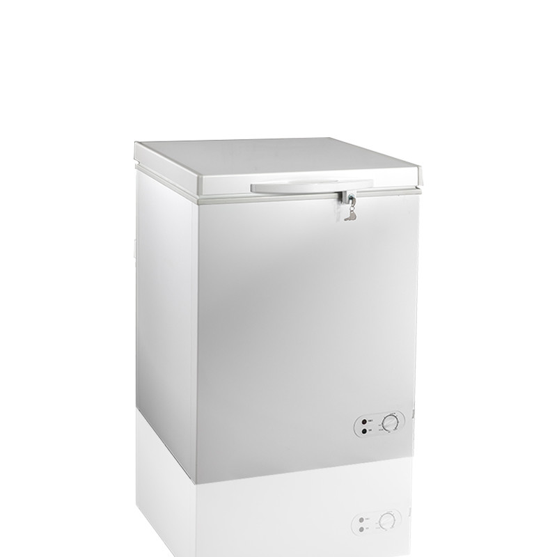 Floweral Silver Gray Deep Chest Freezer Mechanical Temperature Control With Door Lock